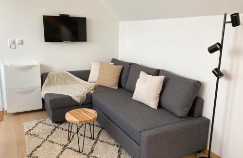 Central Serbia Apartment | Agro Lux Apartment - Milenović
