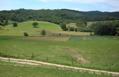 Borut House | Agroturism Stara Štala