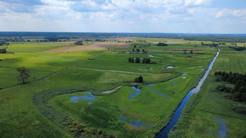 Nowe Dłutowo House | Agroturystyka Grodzisko