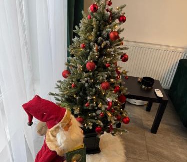 Iasi Apartment | Aici te simți ca acasa