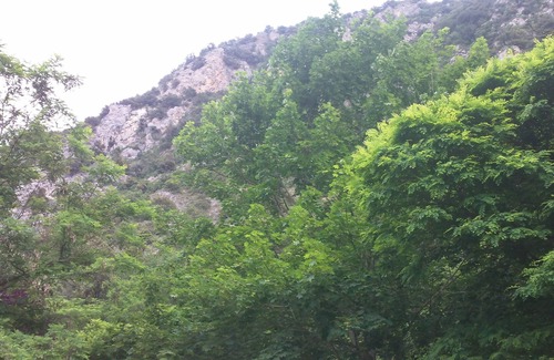 Villefranche-de-Conflent House | Air-conditioned mobile home with swimming pool