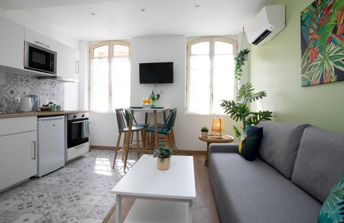 Old Town Apartment | Air-conditioned apartment - hyper-center - Green Nature