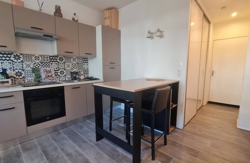 Le Grau-Du-Roi Apartment | Air-conditioned ground floor with terrace, between beach and port. Pets allowed