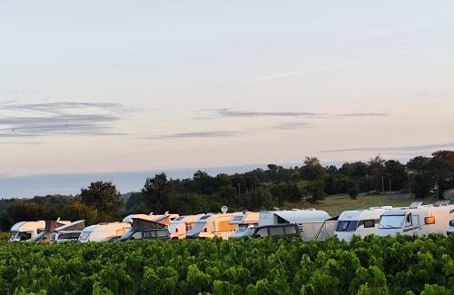 Cenac Other | Aire naturelle de Camping Car - Château Du Garde