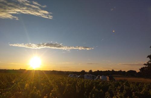 Cenac Other | Aire naturelle de Camping Car - Château Du Garde