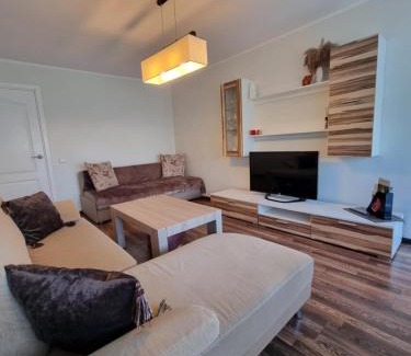 Druskininkai Apartment | Airida forest apartament