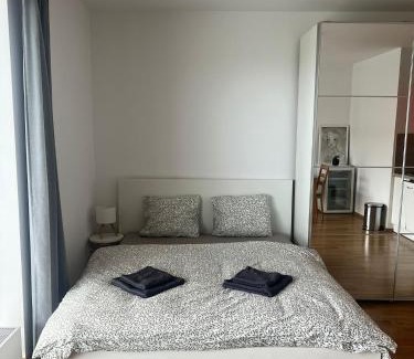 Hostivice Apartment | Airport Apartman Víšek