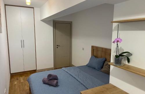 Iasi Apartment | Airport FlyHub Chic Apartment