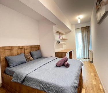 Iasi Apartment | Airport FlyHub Chic Apartment