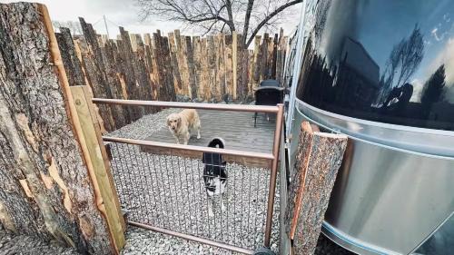 Taos Other | Airstream DeLuxx - LUXX Glamping Taos NM