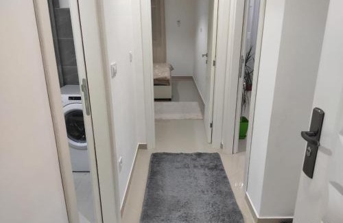 Bjelisi Apartment | AJKULICA Apartman