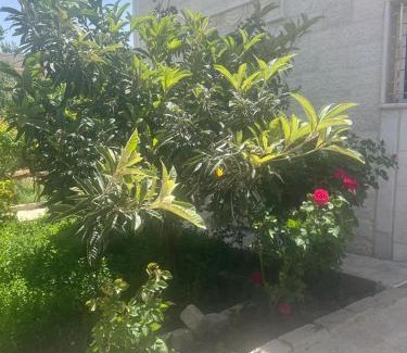 Ajloun House | Ajloun Rest House