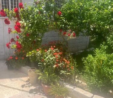 Ajloun House | Ajloun Rest House