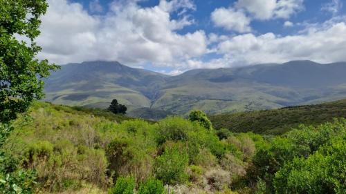 Heidelberg Villa | Akasha Mountain Retreat, new location