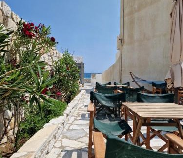Apollonas Apartment | Akti Apollona