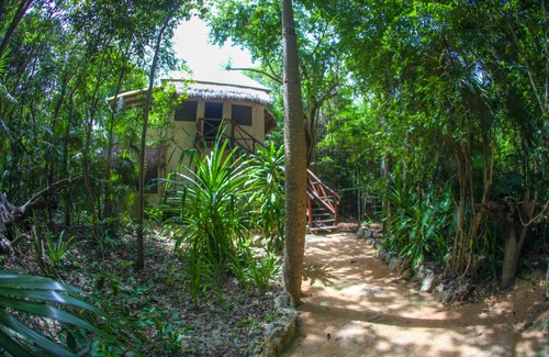 Downtown Cancun Cabin | Akumal, jungle cabin Nicteha