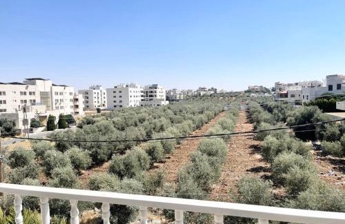 Amman Apartment | Al-Banyat , Al-Hurriyah street Apartment