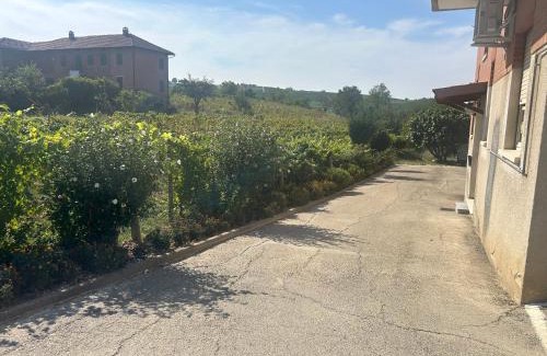 Montegrosso dʼAsti Apartment | Al Boschetto