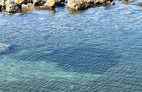Tarquinia House | Al Chiaro di Luna Resort