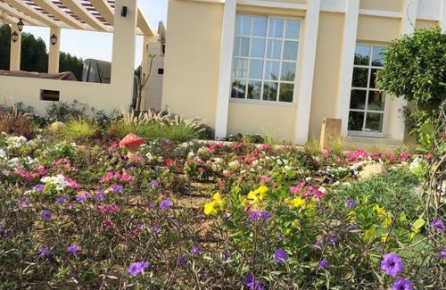 Ajman House | Al Ghoroub Farm Stay - مزرعة الغروب للإيجار اليومي