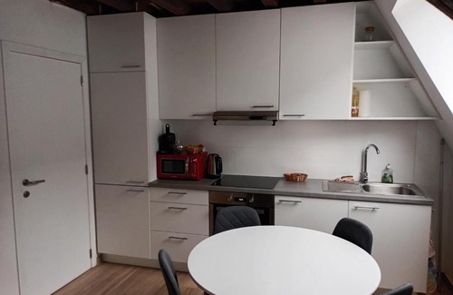 Mechelen Apartment | Al in den Aap gelogeerd?