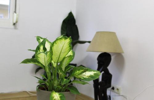 Jaen Apartment | Al pie del Camarín con parking gratis