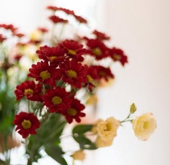 Sasso Barisano Apartment | Al Sasso