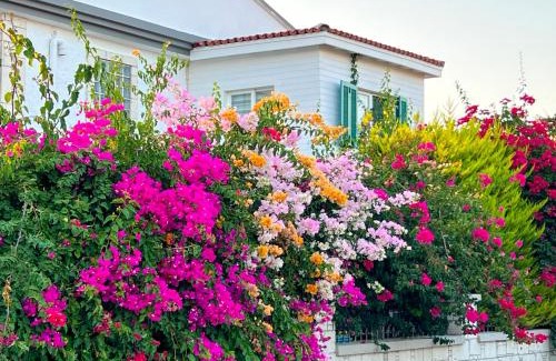 Ilica Hotel | ALAÇATI XL LUXURY HOTEL