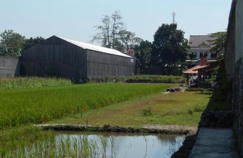 Sleman House | Alamanda Family Villas, Pool & Local Tours