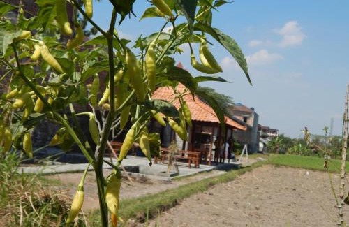 Sleman House | Alamanda Family Villas, Pool & Local Tours