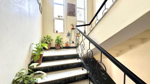 Jaipur District House | Alankrita Homestay