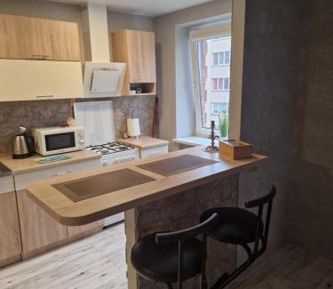Druskininkai Apartment | Alanta