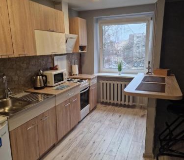 Druskininkai Apartment | Alanta