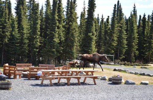Sterling Cabin | Alaska Red Fish Lodge Furnished Cabin #6