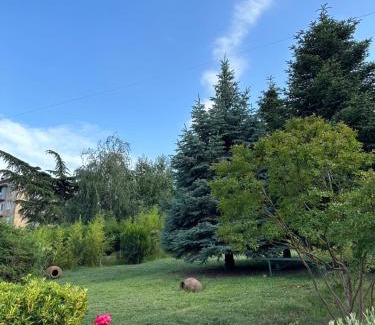 Telavi Hotel | Alazani Valley Hotel