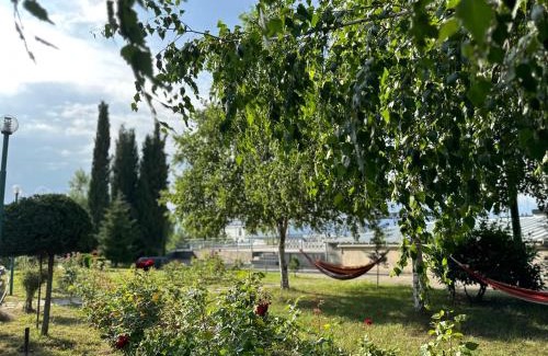 Telavi Hotel | Alazani Valley Hotel