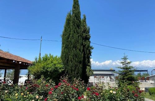 Telavi Hotel | Alazani Valley Hotel