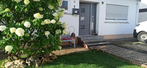 Ingstetten Apartment | Alb-Biosphäre-Ferienwohnung