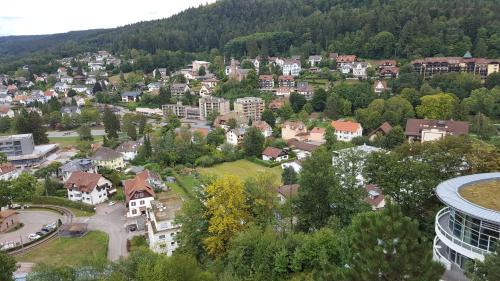 Bad Herrenalb Apartment | Alb-Rosa