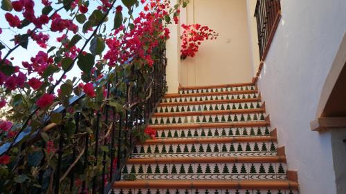 Denia Apartment | Albadomus