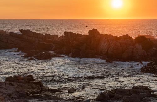 Lambert's Bay Apartment | Albatross Accommodation