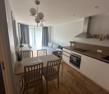 Engure Apartment | Albatross Mini - 2 Room Seaside Air-conditioned Apartment with Balcony