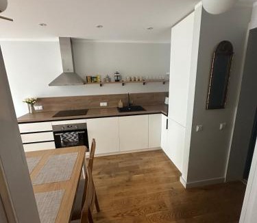 Engure Apartment | Albatross Mini - 2 Room Seaside Air-conditioned Apartment with Balcony