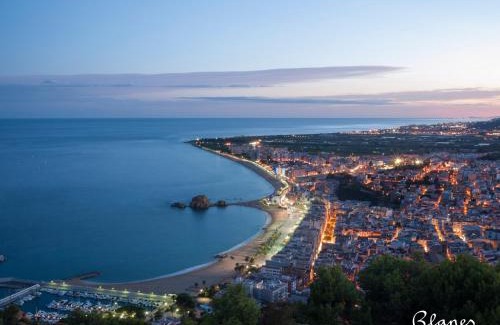 Lloret de Mar Other | Albatross Mobile Homes on Camping Cala Canyelles