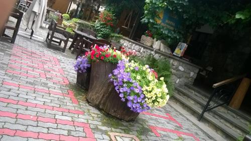 Vernante Hotel | Albergo Martinet