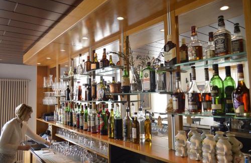 Iragna Hotel | Albergo Svizzero