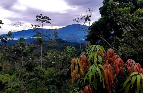 Pacuare Reserve House | Albergue Las Colinas