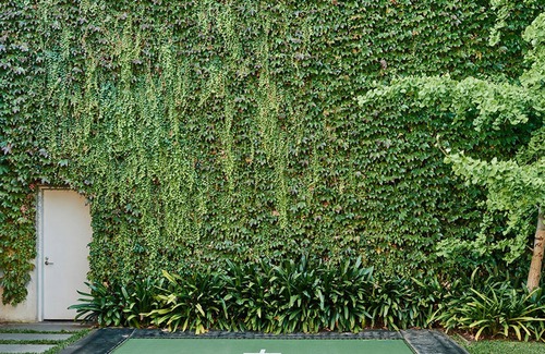 South Melbourne House | Albert Rd (Heated Pool)