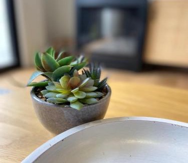 Albert Town House | Albert Town, Wānaka Townhouse - Toi Toi