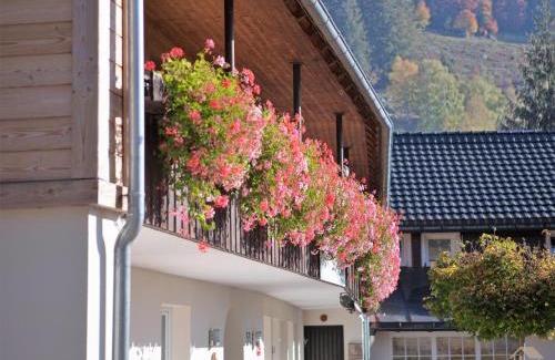 St. Blasien Apartment | Albhof Am Wasserfall